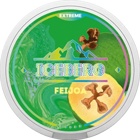 Iceberg Snus 16gr 50mg Pouches - Pack of 10