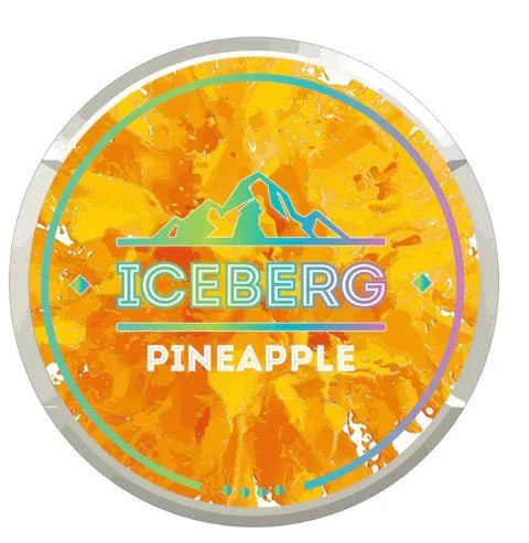 Iceberg Snus 16gr 150mg Pouches - Pack of 10 - Pineapple - vapeukwholesale